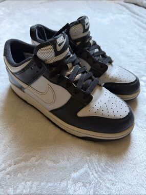 Nike Dunk Low Retro Gray & Black Panda